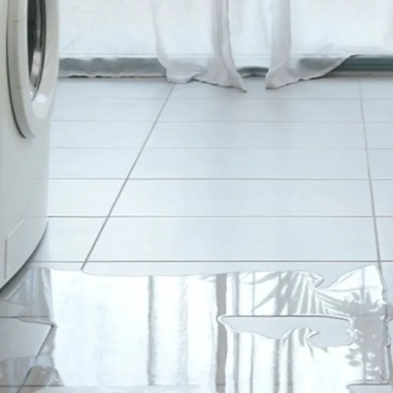 Appliance Leak Cleanup in Spanaway, WA