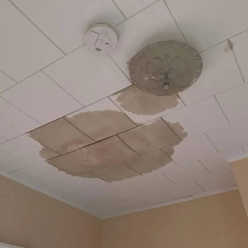 Ceiling Water Damage Repair in Spanaway, WA