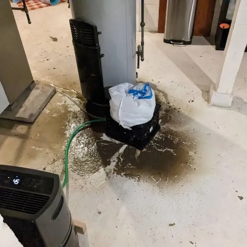 Sewage Backup Cleanup Service in Spanaway, WA